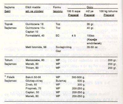 Fidelikte bitkiler çıktıktan sonra uygulanacak ilaçlar ve uygulama dozları